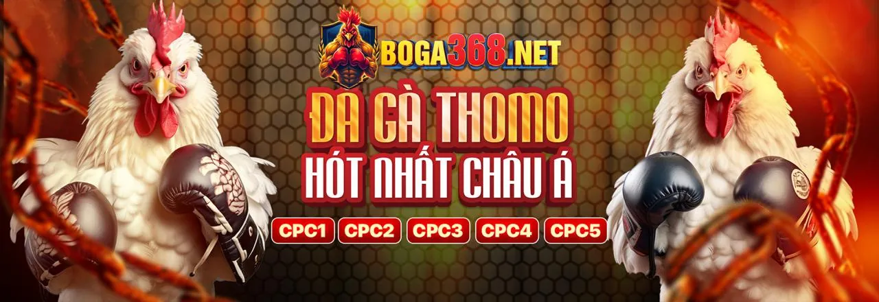 Đá Gà Trực Tuyến lk68 chính thức